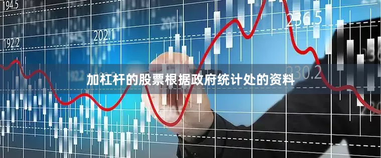 加杠杆的股票根据政府统计处的资料