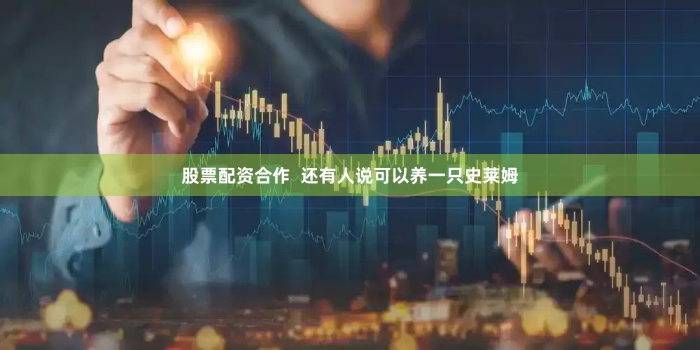 股票配资合作  还有人说可以养一只史莱姆